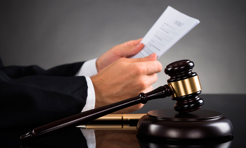 El Litigio. Concepto